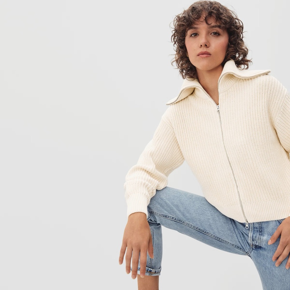Everlane The Chunky Knit Cardigan